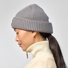image:imageFjallraven 1960 Lite Logo Mens Cuffed Beanie  MidHeightGrey