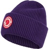 Dark Violet