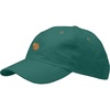 Copper Green