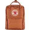 Terracotta Brown