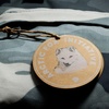 image:imageFjllrven Kanken Graphics Backpack  WaterResistant Exterior Graphic Design  School Travel ChalkRoseHidden Animals One SizeNimbus Bluehidden Animals